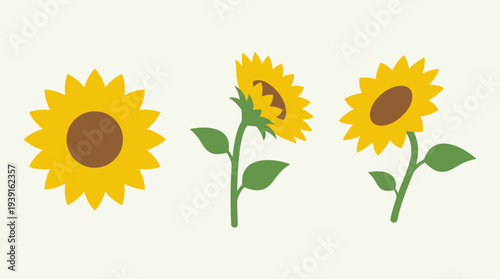 Three sunflowers with green stems and leaves.