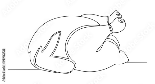 Continuous line drawing of whole raw chicken vector