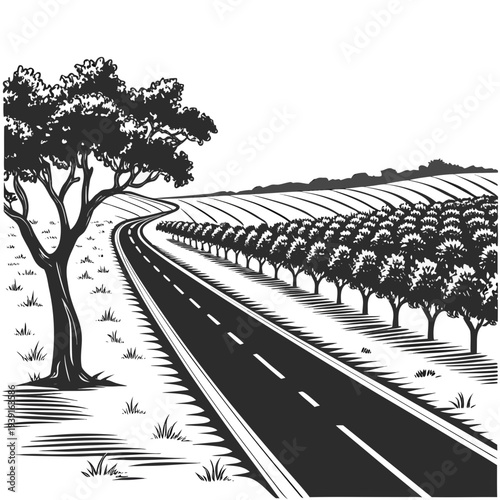 Black and white of desert highway with trees and crops