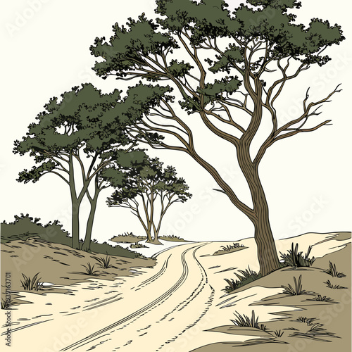 Desert road with trees on sandy hillside green leaves 1