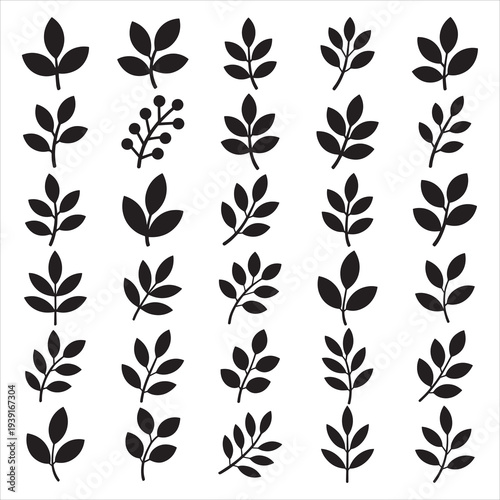 Minimalist Black Leaf Silhouettes and Botanical Branch Icon Set