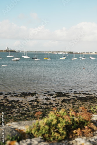 Canvas Print Petits bateaux dans le rade de Port-Louis dans le Morbihan en Bretagne, France