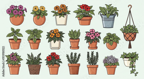 A colorful vector illustration of various potted plants and flowers in different pots and planters