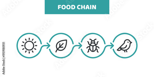 Vector food chain design on white background