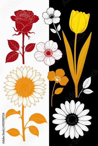 Illustration of diverse flowers in various styles on contrasting backgrounds