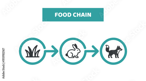 Vector food chain design on white background