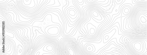 Topographic contour line geometric seamless pattern abstract landscape grid map technology modern white background