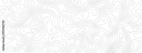 Abstract contour line map seamless pattern geometric topographic landscape grid technology background white modern design