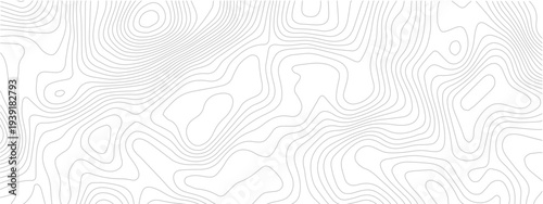 Abstract topography line seamless pattern with geometric contour grid map modern technology background white design