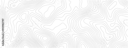 Abstract topography line seamless pattern with geometric contour grid map modern technology background white design