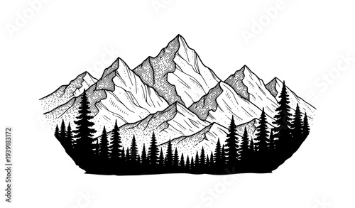 Vintage Engraved Mountain Landscape with Pine Trees Adventure Nature Illustration
