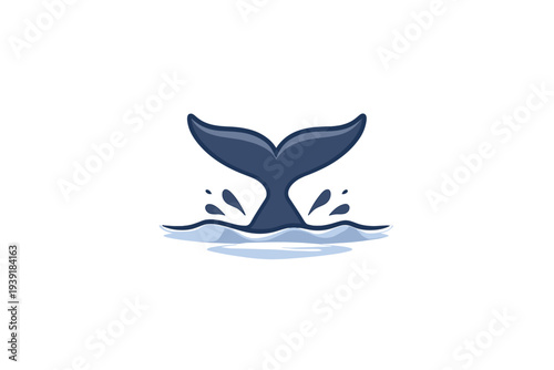 Whale tail rises above water during sunset near the coast in the ocean