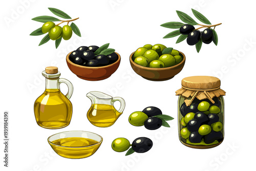 Different kinds of olives olive oil and olive branches on a white