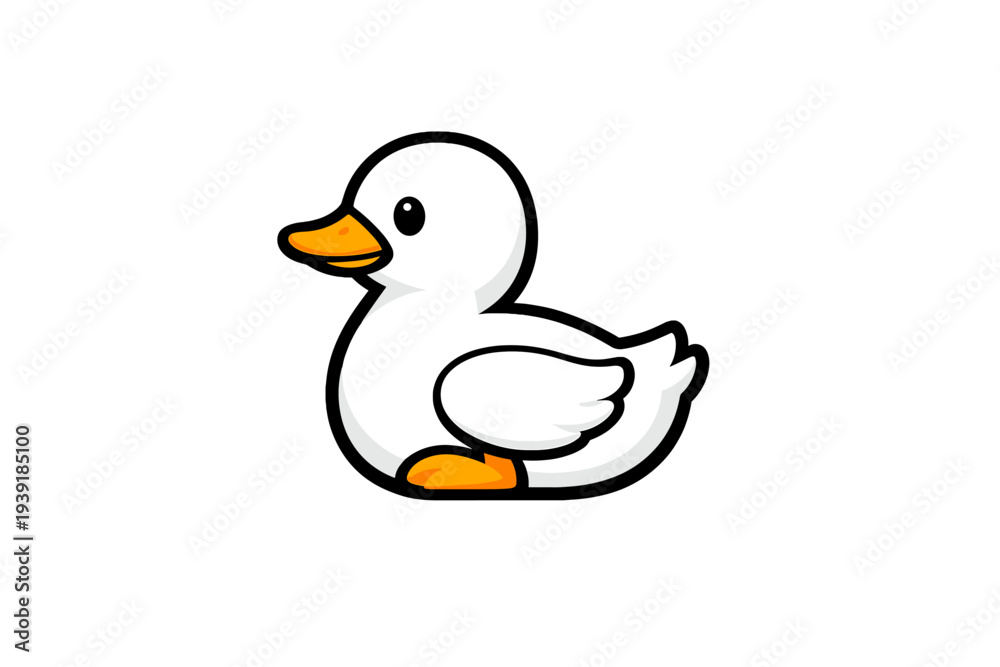 Obraz premium Friendly white duck swims in a pond during sunny afternoon in a park