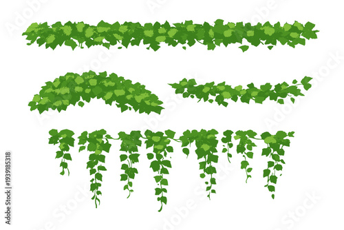 Green climbing vines arranged in various patterns for use in designs