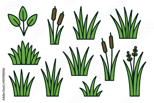 Various types of grass and plants arranged in a simple colorful style
