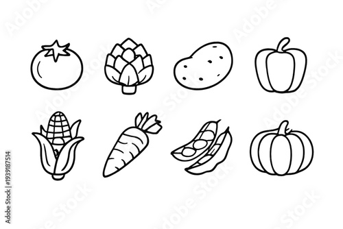 Different types of vegetables shown in simple line drawings on a white