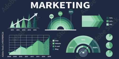 Marketing Analytics Dashboard Data Charts Business Statistics Infographic Vector