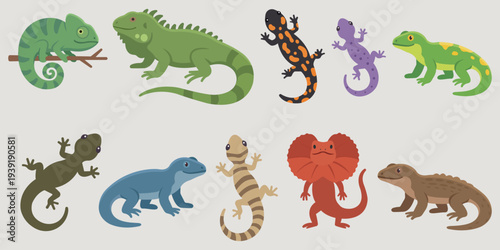 Diverse Lizard Spectacle: A vibrant array of lizard species, each showcasing unique patterns and colors, creates a captivating display of nature's diversity. 