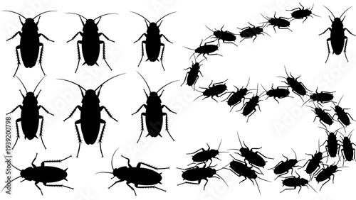 Silhouette Horror: A Swarm of Cockroaches Crawling in the Shadows - Vector Illustration for Halloween, Pest Control, or Creepy Decoration Designs and Ominous Backgrounds