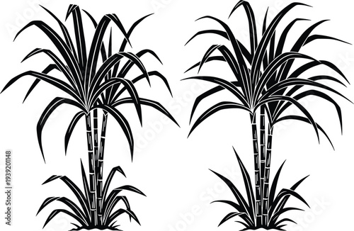 Flavector botanical line art wildflowers with tropical leaf silhouettes sugar cane plants and wheat monogram for elegant garden wedding design.