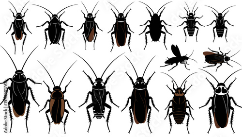 Vector Image of Cockroaches: An Illustration for Pest Control, Entomology Studies and Hygiene Campaigns Featuring Detailed Black and Brown Silhouettes