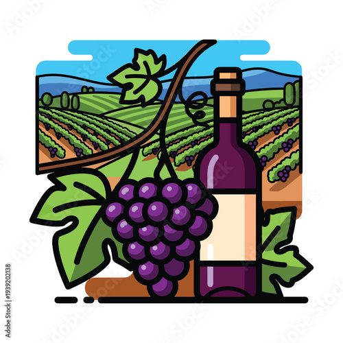 Bottle of wine and grapes illustration on vineyard landscape background graphic design