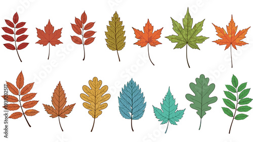 Autumnal Botanical Diversity: Hand-Drawn Leaf Illustrations for Seasonal Designs, Educational Resources and Nature-Themed Projects, Showcasing Colorful Fall Foliage for Engaging Presentations and...