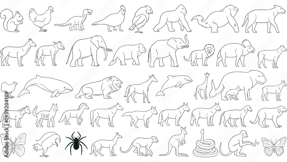 Obraz premium Line Art Animal Kingdom: Vector Outlines of Diverse Creatures for Coloring Books, Educational Resources, Children's Activities, and Wildlife Illustrations