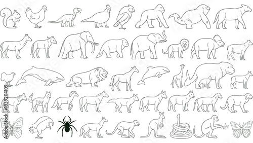 Line Art Animal Kingdom: Vector Outlines of Diverse Creatures for Coloring Books, Educational Resources, Children's Activities, and Wildlife Illustrations