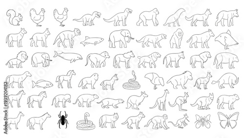 Outlined Animals Vector Design: A Collection of Black and White Fauna Illustrations for Educational Materials, Coloring Books and Creative Projects [Line Art Animals]