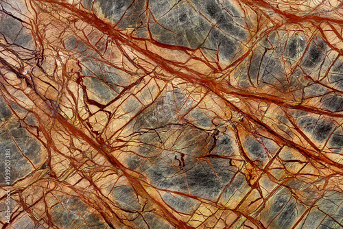 Wallpaper Mural Natural Rainforest Green Extra - marble background, texture in your admirable tone for new interior look. Torontodigital.ca