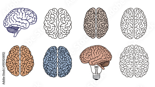 Creative Brainstorming Concept: Diverse Brain Illustrations Showcasing Intelligence, Ideas, and Mental Health, Ideal for Education, Science, and Medical Visuals in Digital Media and Design Projects