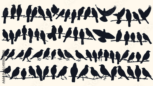 Silhouette Serenade: An Illustration of Birds Perched in Harmony, Evoking Themes of Nature, Freedom, and Tranquility, Perfect for Backgrounds, Art Prints, and Designs