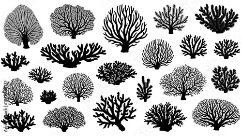 Diverse Silhouette Coral Reef Collection: An Assemblage of Unique Marine Flora for Graphic Design, Scientific Illustration, and Creative Ocean-Themed Projects, Perfect for Biology Studies and...