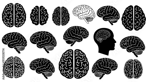 Mental Health Brain Power: Black and White Anatomy Illustrations for Scientific Studies, Neurological Research, Cognitive Function, Psychological Wellness, and Medical Presentations