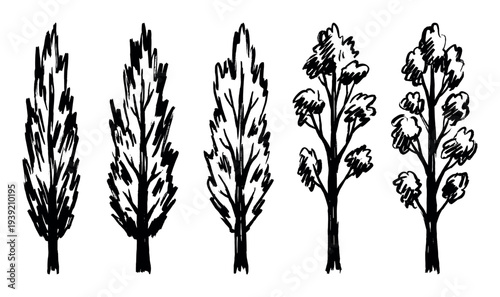 Set of five hand-drawn trees in a minimalist black ink sketch style, showing different plant shapes like poplars and deciduous trees for a simple graphic design element