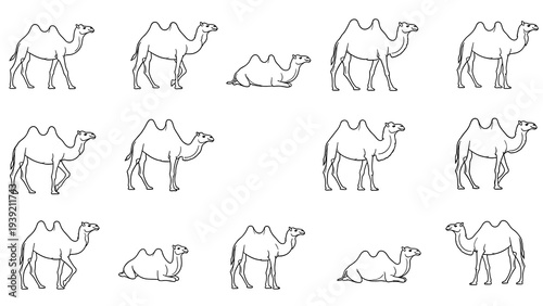 Line Art Camel Collection: Minimalist Vector Illustration of Arabian Desert Animals for Educational Resources, Coloring Pages, and Travel-Themed Designs, Ideal for Children's Books and Creative...