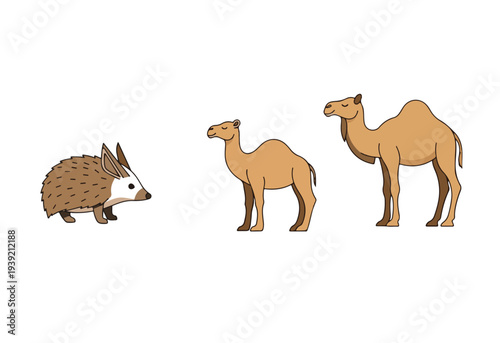 A whimsical illustration depicting a hedgehog and two camels of increasing size