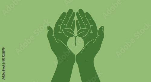 Hands Holding a Sprouting Seedling.