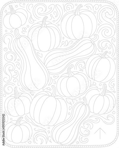 Fall pumpkin and squash illustration