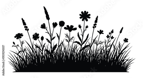 Wildflower meadow with grasses and blooms in striking silhouette