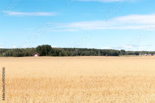 Beautiful summer countryside scenery in Loimaa, Finland.