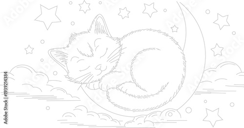 Sleeping cat on moon vector illustration