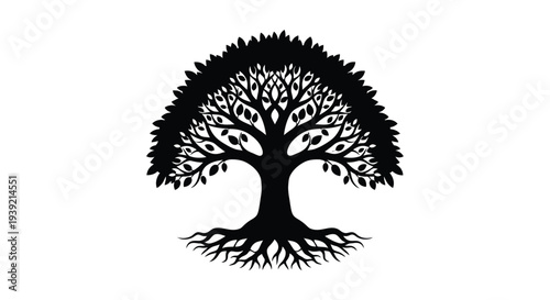 Detailed tree with sprawling roots and full canopy a striking silhouette
