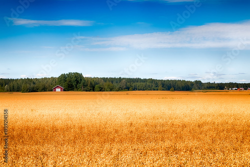 Beautiful summer countryside scenery in Loimaa, Finland. HDR.