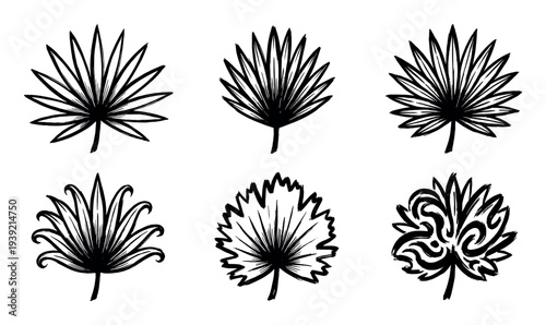 Six black hand-drawn palm leaf illustrations in a sketchy ink style, showcasing a collection of various tropical fan palm frond designs for botanical and nature-themed concepts
