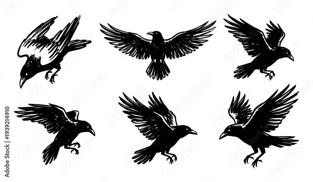 Naklejka premium Set of six black raven illustrations in a hand-drawn sketchy ink style, showing the dark birds in various dynamic flying, soaring, and landing poses with spread wings