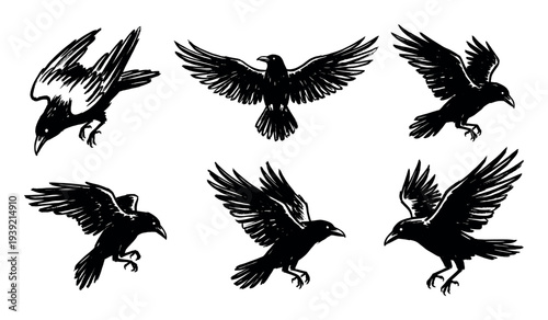 Set of six black raven illustrations in a hand-drawn sketchy ink style, showing the dark birds in various dynamic flying, soaring, and landing poses with spread wings