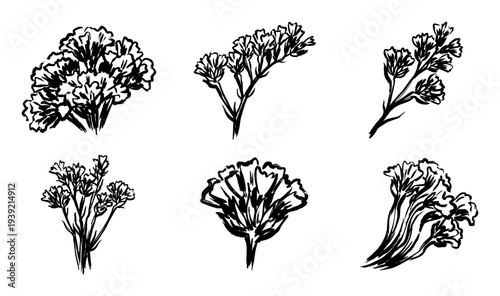 Set of six black ink botanical illustrations featuring hand-drawn flowers and herbs in a rough, expressive sketch style, showcasing artistic and organic design elements